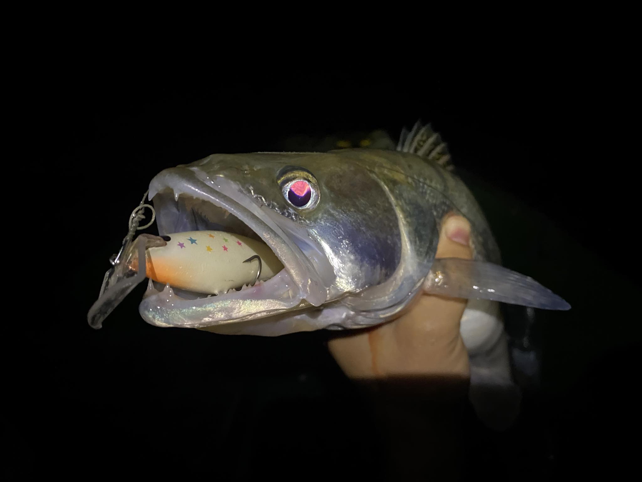 Garnela Shad 9 cm - Image 18