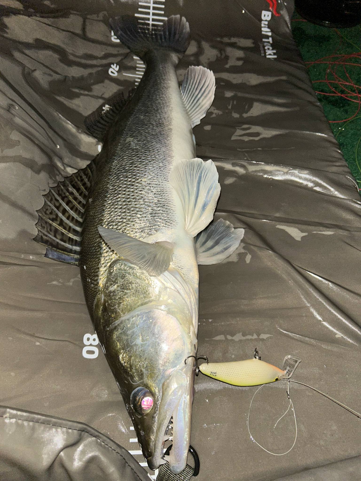 Garnela Shad 9 cm - Image 17