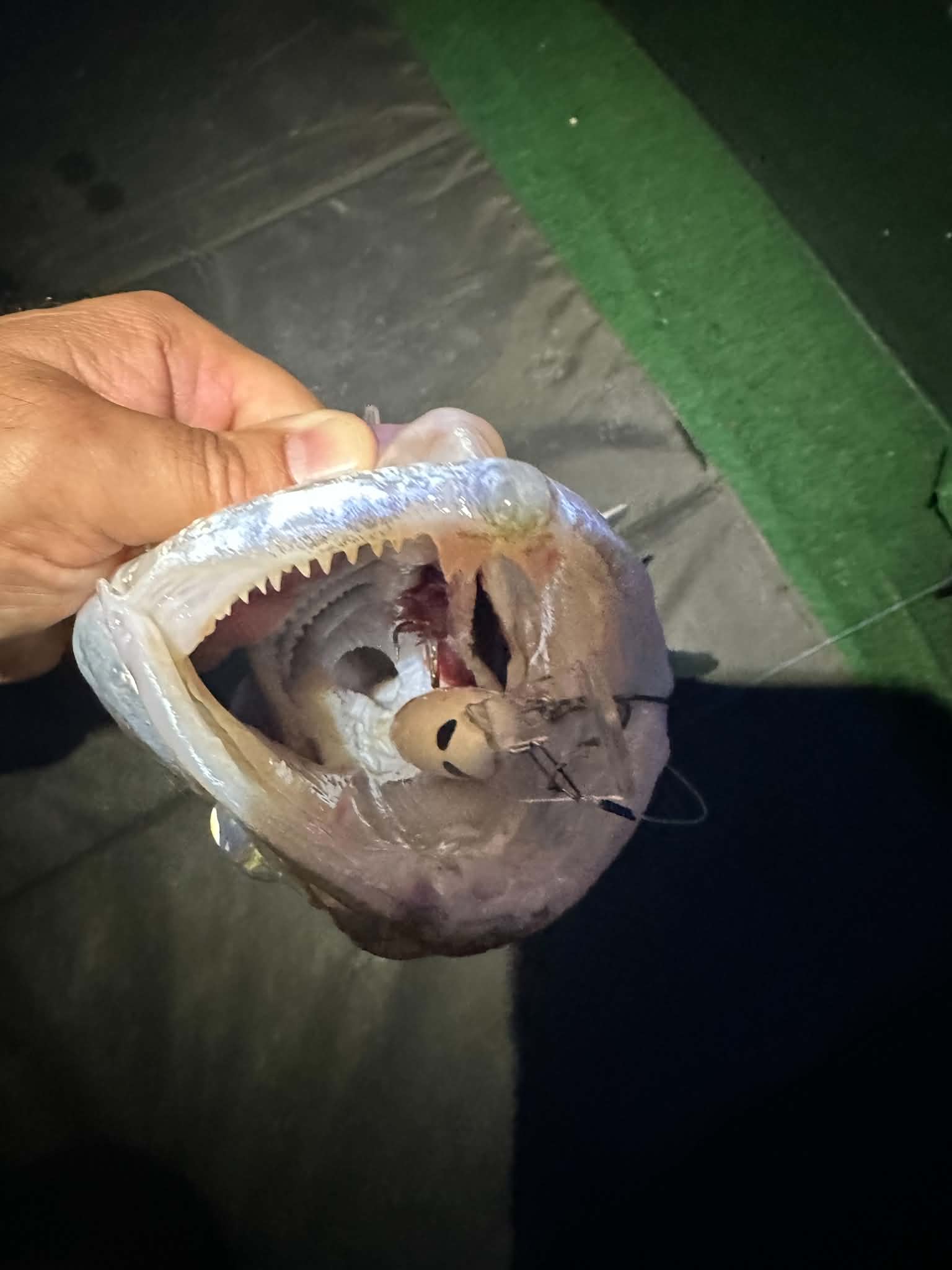 Garnela Shad 9 cm - Image 15