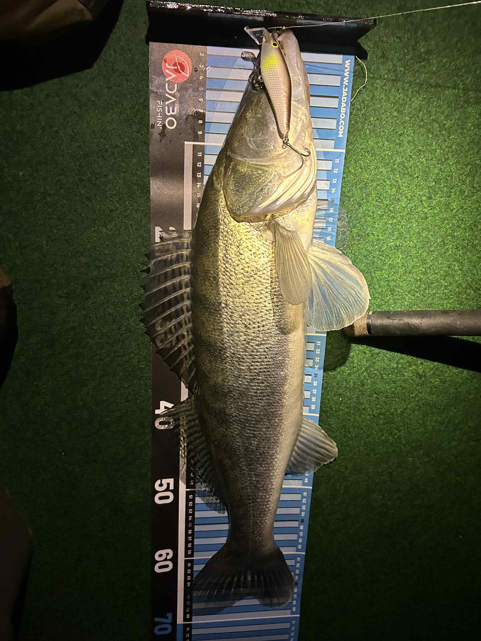 Garnela Shad 9 cm - Image 14