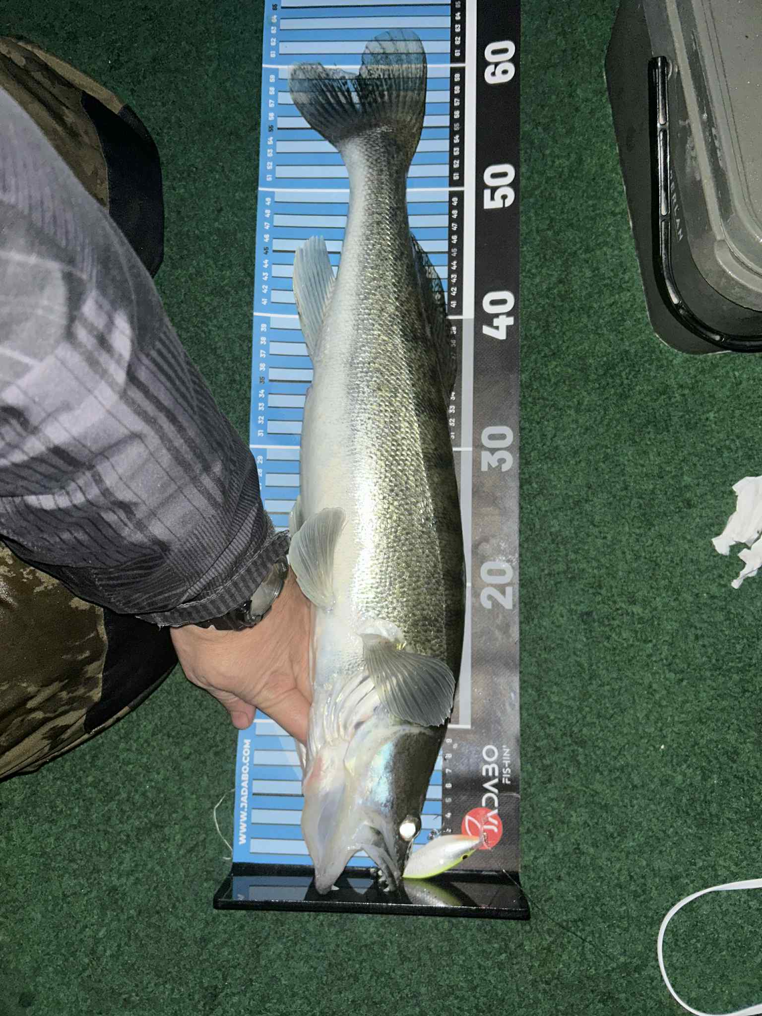 Garnela shad 7 cm - Image 5