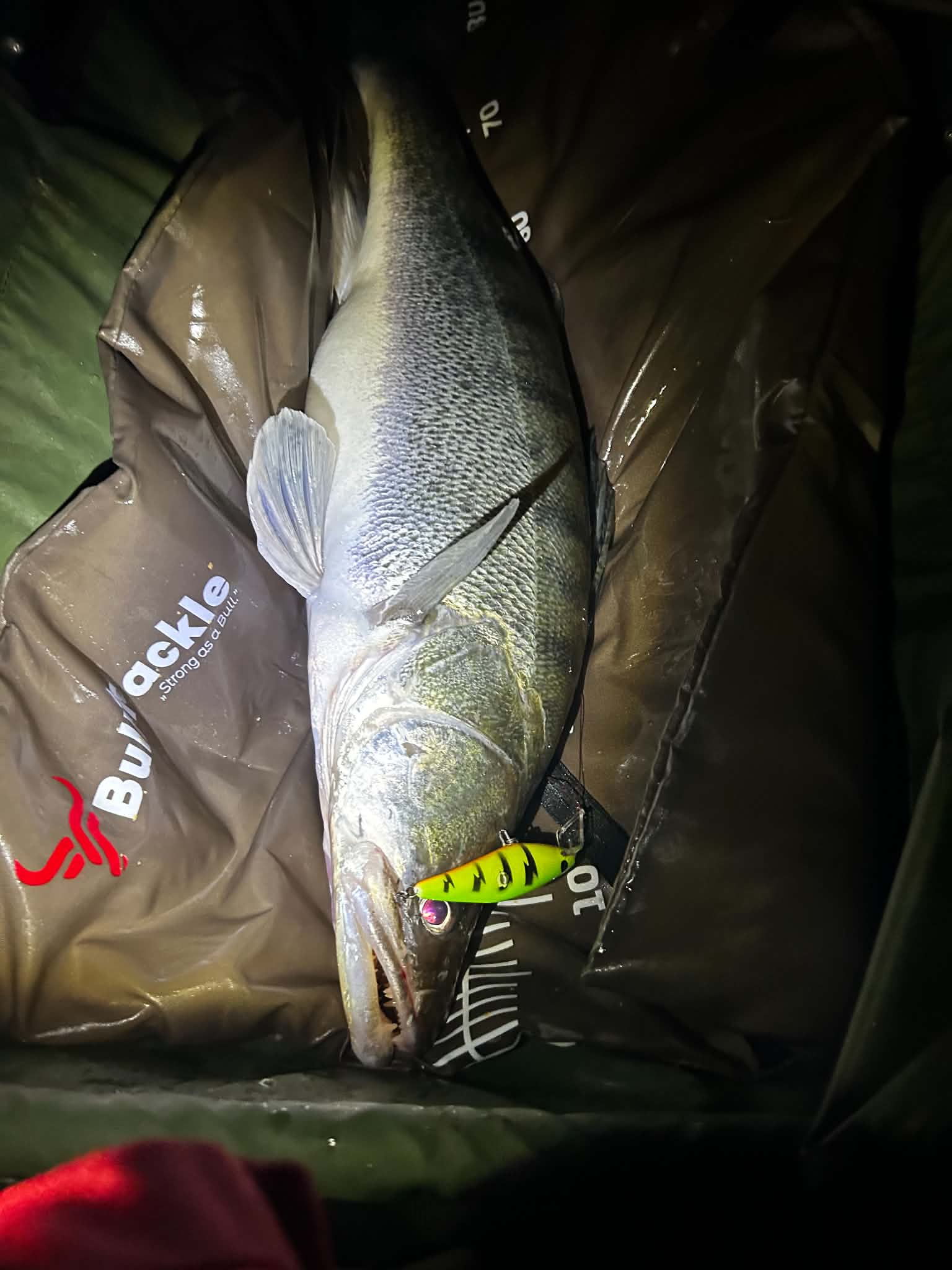 Garnela Shad 9 cm - Image 16