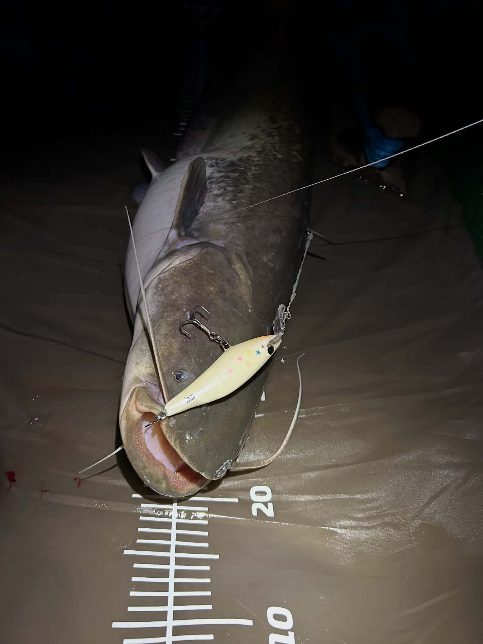 Garnela Shad 9 cm - Image 19